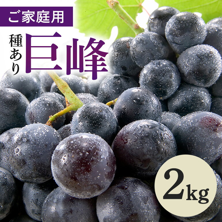 【ふるさと納税】 ご家庭用巨峰 2kg ( 種あり ) 鈴木ぶどう園 ぶどう ブドウ 国産 果物 くだもの 葡萄 フルーツ 2キロ 8月～10月 発送 夏 秋 旬 品種 茨城県産 産地直送 産直 農家直送 冷蔵 茨城県 石岡市 送料無料 (A07-007)