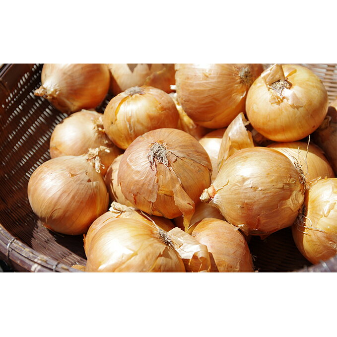 【ふるさと納税】北海道 日高産 玉ねぎ 約18kg 国産 北海道産 野菜 産地直送 お取り寄せ　野菜・玉ねぎ・たまねぎ・タマネギ　お届け：2025年11月～2026年3月31日