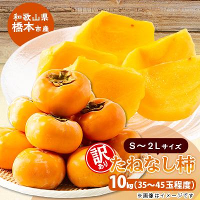 ふるさと納税 橋本市 柿【先行受付】柳フルーツ園(訳あり)たねなし柿 約10kg