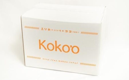かんきつジュレ 【いちずみ】 バラエティセット (あいか ＆ せとか 入り) 14個 | みかんゼリー みかんゼリー みかんゼリー みかんゼリー 【KK0981】