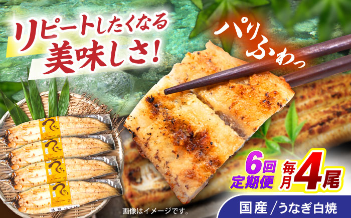【6回定期便】【諫早淡水】うなぎ白焼き4尾  / うなぎ 白焼き 栄養価 小分け 冷凍 / 諫早市 / 諫早淡水 [AHAT049]