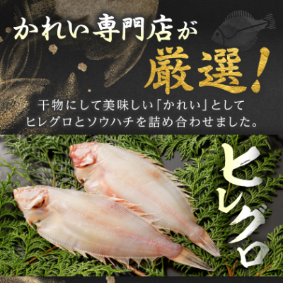 【かれい専門店】こだわりの干かれい充実セット【配送不可地域：離島】