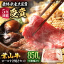 【ふるさと納税】A5 葉山牛ロース スキヤキセット 化粧箱入り 800g 牛肉 和牛 すき焼き しゃぶしゃぶ ロース 葉山牛 和牛 黒毛和牛 おすすめ 人気 化粧箱 葉山町 5万円 50000円 50,000円【(有)葉山旭屋牛肉店】[ASAP003]