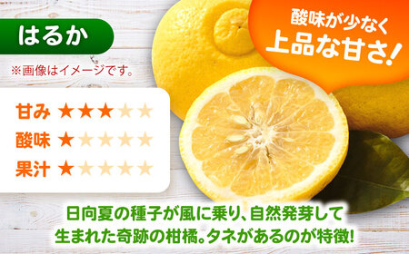 そのまんま はるかジュース 720ml×2本 みかんジュース / 佐賀県 / 山本農園 [41ATBT015]