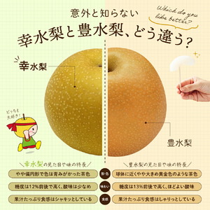 幸水梨 ご自宅用 約5kg【先行予約・数量限定】世羅 幸水農園 幸水 梨 せら なし フルーツ 果物 くだもの 甘い 果汁 ジューシー デザート 産地直送 JGAP認証 新鮮【2026年8月中旬以降順