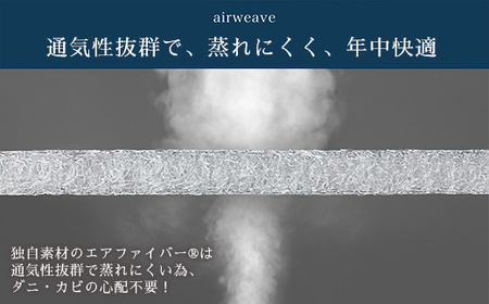 【ふるさと納税限定】エアウィーヴ キャリークッションmini ブラック | airweave おすすめ エアウィーブ air weave 洗える 洗濯可能 蒸れにくい クッション 座布団 ざぶとん 椅