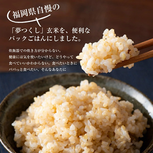 玄米 ごはん 夢つくし  PREMIUM パックごはん 160g×24食 M543-2