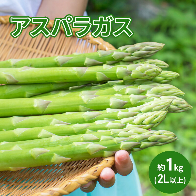 【ふるさと納税】アスパラガス 約1kg（2L以上） 　お届け：2026年4月中旬～2026年5月中旬