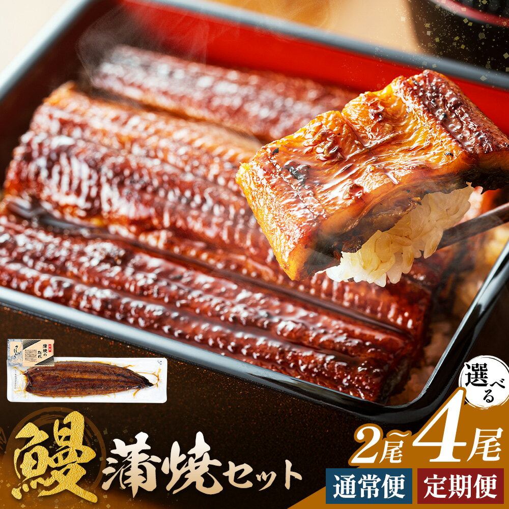 【ふるさと納税】鰻 うなぎ 蒲焼き 選べる内容量 2尾 3尾 4尾 (1尾約140g) 隔月3回定期便 隔月6回定期便 タレ 山椒 付き 株式会社薩摩川内鰻《出荷時期をお選びください》鹿児島県 さつま町 送料無料 ウナギ 蒲焼 かば焼き 丑の日 うなぎ お取り寄せ グルメ