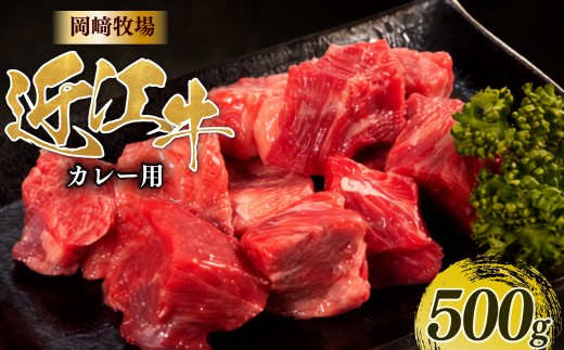 近江牛 角切り カレー シチュー 用 500g 完熟近江牛 近江日野牛 ふるさと納税 煮込み 国産 和牛 ビーフカレー ビーフシチュー カレー 角切り サイコロ おつまみ 冷凍 牛肉 最上級 ブランド 和牛 近江牛 国産牛 肉 にく 牛 松阪牛 神戸牛 に並ぶ 日本三大和牛 長期肥育 生体熟成 熟成 近江牛滋賀県 日野町岡﨑 岡崎 精肉店 牧場 ふるさと納税 【OZ035】