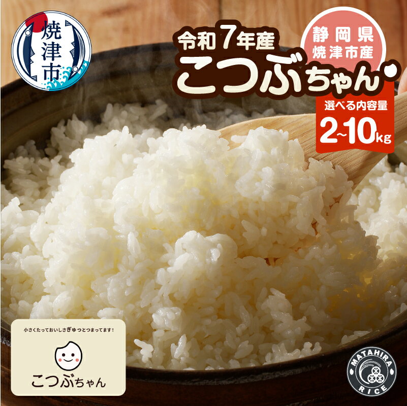 【ふるさと納税】 【選べる内容量】 米 白米 令和7年産 2kg 5kg 10kg おいしく節約 節約 しあわせごはん お米の小粒ちゃん 小粒 老舗米屋 ごはん 焼津 a11-194