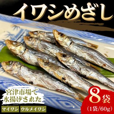 ふるさと納税 宮津市 いわしめざし　60g×8袋　マイワシ　ウルメイワシ