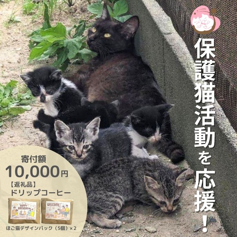 【ふるさと納税】ドリップコーヒー 10袋 (5袋×2) セット 詰め合わせ 保護猫活動を応援！ さくらねこサポートOGORI コーヒー 珈琲 ドリップパック ドリップパックコーヒー ドリップバック ドリップバックコーヒー ドリップ 飲料 福岡 福岡県 小郡市