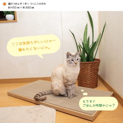 ふるさと納税 中津川市 猫のつめとぎ(中)【けっこう】おおきめサイズで2枚入り! |  | 01
