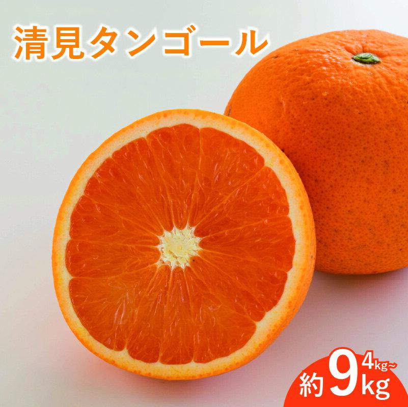 【ふるさと納税】 【先行予約3月下旬頃より発送予定】 【訳あり】 みかん 柑橘 清見タンゴール 約4kg/約9kg | 柑橘 みかん 果物 フルーツ おすすめ 人気 ジューシー オレンジ 果実 愛媛 松山 送料無料