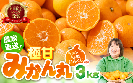 極甘！みかん丸 3kg箱 みかん