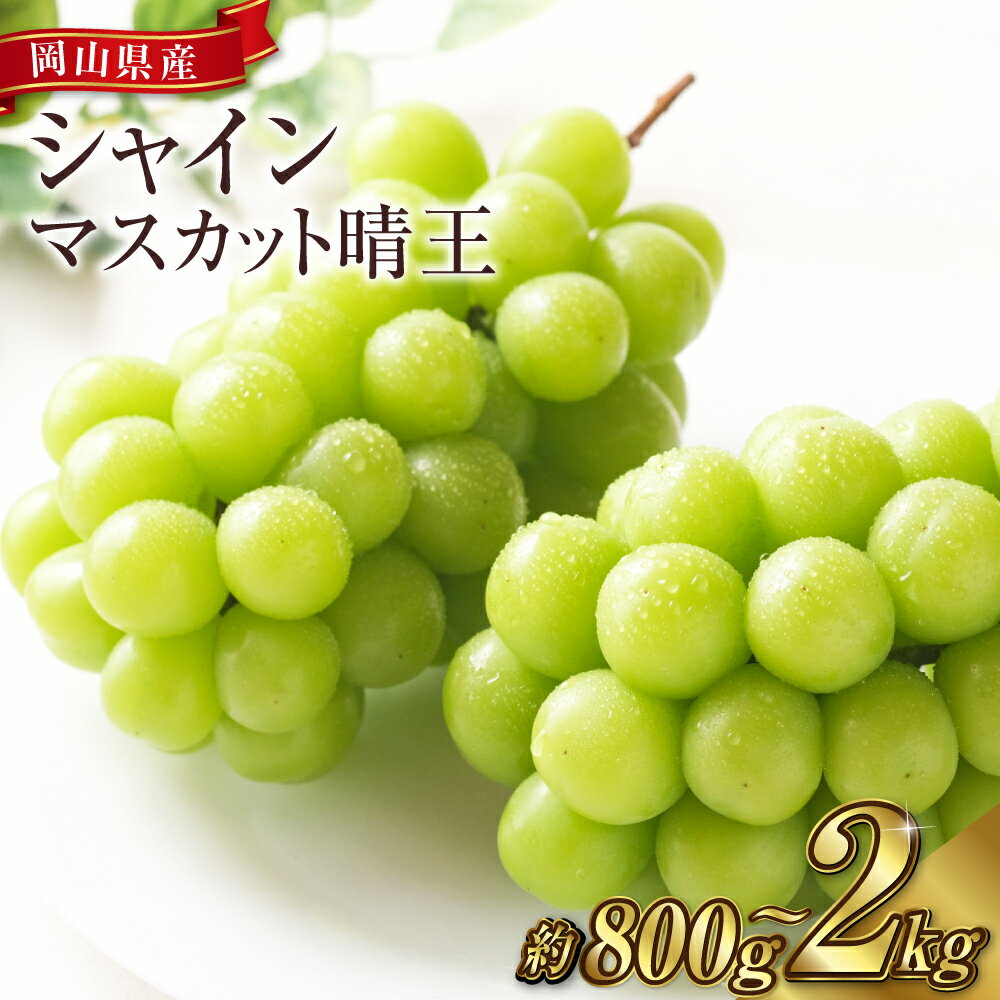【ふるさと納税】《先行予約》シャインマスカット晴王 3～5房（約2kg）/ 2房（1房 480g以上）化粧箱入り/1房（800g以上） 化粧箱入りブドウ 葡萄 岡山県産 国産 フルーツ 果物 ギフト　倉敷市　【2025年8月下旬～11月上旬 発送予定】