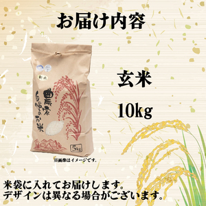 【 令和7年産 米 10kg 】 日本晴 米 玄米