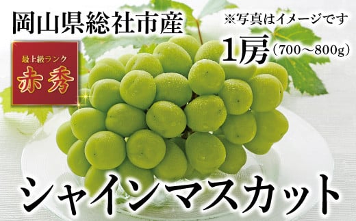 シャインマスカット（赤秀・1房）岡山県総社市産【2025年産先行予約】25-023-001