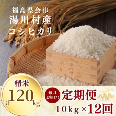 ふるさと納税 湯川村 【毎月定期便】湯川村産コシヒカリ 精米10kg(R8.10月-12月・R9.1月-9月)全12回