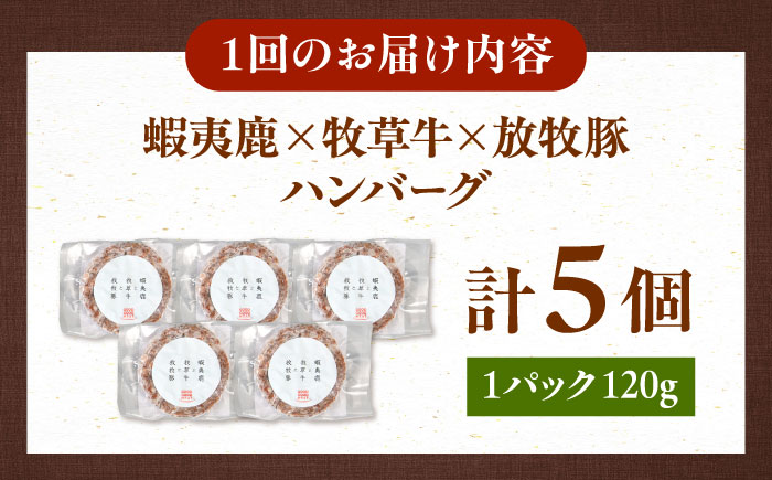 【全6回定期便】【蝦夷鹿×牧草牛×放牧豚】ハンバーグ 5個 《厚真町》【GOODGOOD株式会社】 ハンバーグ 鹿肉 牛肉 豚肉 小分け 冷凍配送 ギフト ご褒美 北海道 [AXBP020]