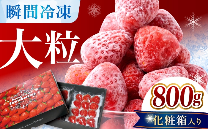 
                  瞬間冷凍イチゴ / 完熟 大粒 いちご イチゴ 冷凍 フローズン フレッシュ フルーツ 果物 ストロベリー 紅ほっぺ べにほっぺ ichigo 苺 冷凍苺 冷凍いちご デザート 化粧箱入り 岐阜 多治見市 産地直送 農家直送 送料無料 / 多治見市 / 廿原ええのお [TCI005]
                
