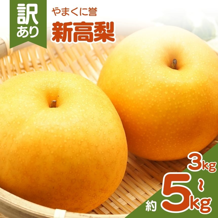 【ふるさと納税】やまくに誉（新高梨） 訳あり 選べる 内容量 約 3kg or 5kg | フルーツ 果物 くだもの 梨 なし ナシ 和梨 新高 3キロ 5キロ 産地直送 九州産 国産 九州 大分県 中津市