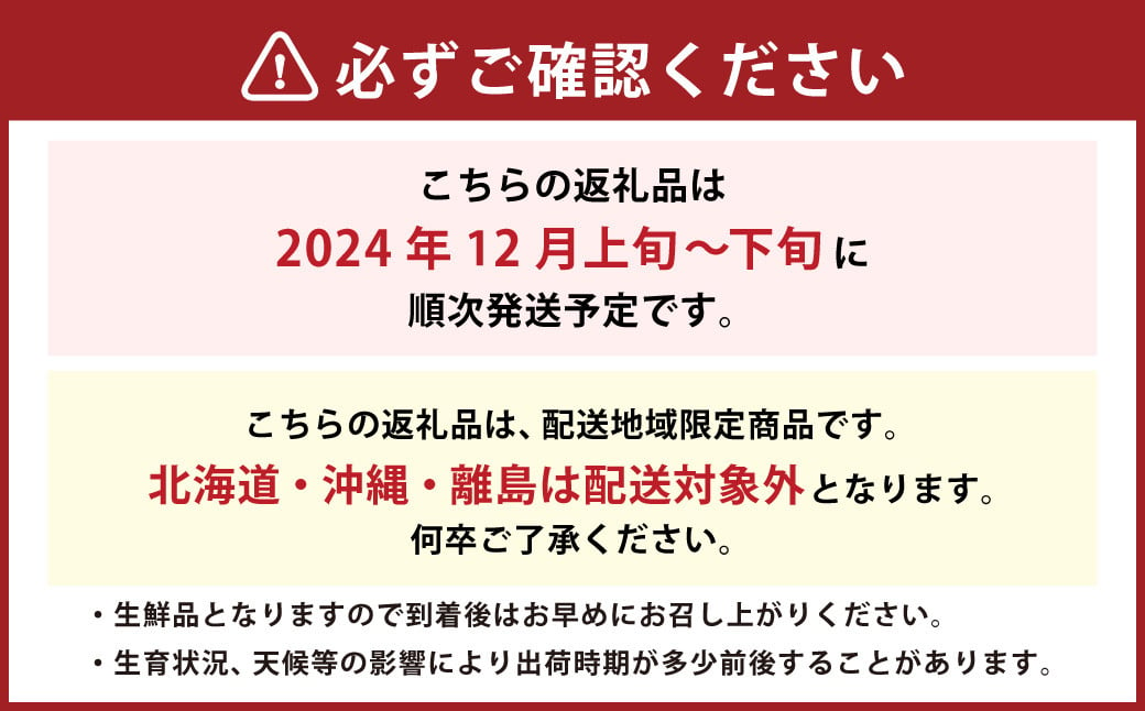 福岡県産 あまおう 1000g（250g×4パック）