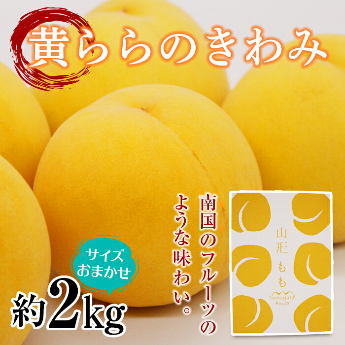 【ふるさと納税】 【令和7年産先行予約】 黄桃 「黄ららのきわみ」 約2kg (6～12玉 サイズお任せ) 《令和7年9月中旬～発送》 『南陽中央青果市場』 桃 もも 果物 フルーツ デザート 山形県 南陽市 [1453]