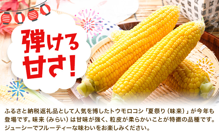 新登場★ トウモロコシ 味来 【収穫後当日出荷！】 夏祭り 約5kg 13本前後《6月中旬-7月中旬頃出荷予定》 茨城県 結城市 野菜 甘味が強い 柔らかい ジューシー フルーティー 夏野菜 コーン【