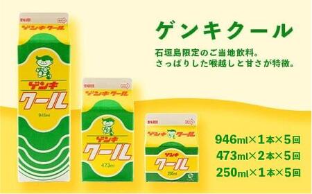 【ふるさと納税限定】【定期便_5回】八重山ゲンキ乳業 オールスターセット【八重山ゲンキ乳業】【ゲンキ牛乳】【石垣島のソウルドリンク ゲンキクール】【ゲンキカフェ】【さんぴん茶ミルクティー】GN-2_5
