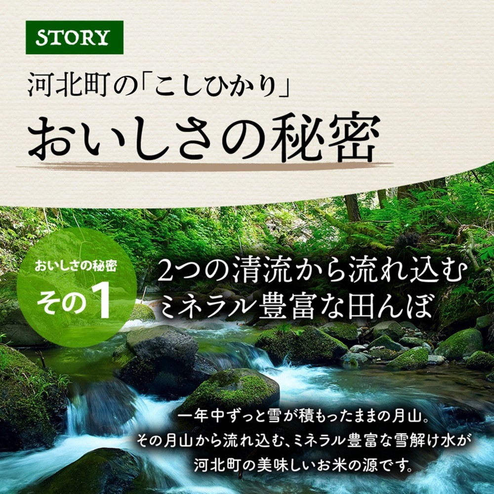 【令和6年産米】2024年12月中旬発送 こしひかり 10kg（5kg×2袋）山形県産 【米COMEかほく協同組合】