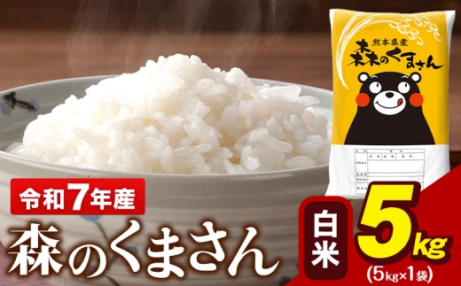 令和7年産 森のくまさん 5kg × 1袋 白米 熊本県産 単一原料米 森くま 送料無料《7-14日以内に出荷予定(土日祝除く)》