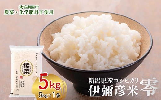 米 コシヒカリ 新潟 5kg 新潟県コシヒカリ 令和7年産 伊彌彦米 零 新潟県産コシヒカリ 新潟産コシヒカリ 農薬 化学肥料不使用 | 新潟県産こしひかり こしひかり 新潟産こしひかり 新潟こしひかり 新潟コシヒカリ お米 白米 精米 ブランド米 おこめ コメ  5キロ 5キログラム ギフト 贈答 贈り物 にいがた にいがたけん いやひこまい 新潟県 弥彦村 農事組合法人 第四生産組合