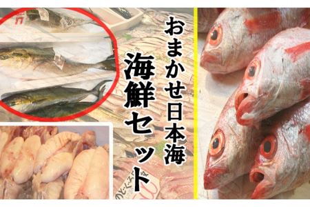 【定期便】おまかせ日本海海鮮セット（生） 12回コース 定期便 海鮮 おまかせ 12回 セット 詰め合わせ 海鮮セット 厳選 産地直送 お任せ定期便 【097_0726】