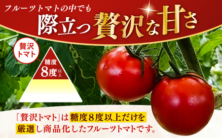 【先行予約】 高知県高知市産 贅沢フルーツトマト 約2kg 〈2027年2月初旬～5月中旬まで発送〉 / トマト とまと フルーツトマト 2kg 2キロ 野菜 果物 サラダ お弁当 デザート 【片山農