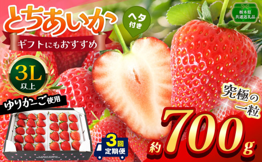 【先行予約】【栃木県共通返礼品】【定期便3回】とちあいか 3L以上ホール詰め 700g | いちご とちあいか 香貴 朝採れ 大粒 新鮮 甘い  数量 限定 美味しい 果物 共通返礼品 フルーツ デザート 栃木県 那珂川町 送料無料