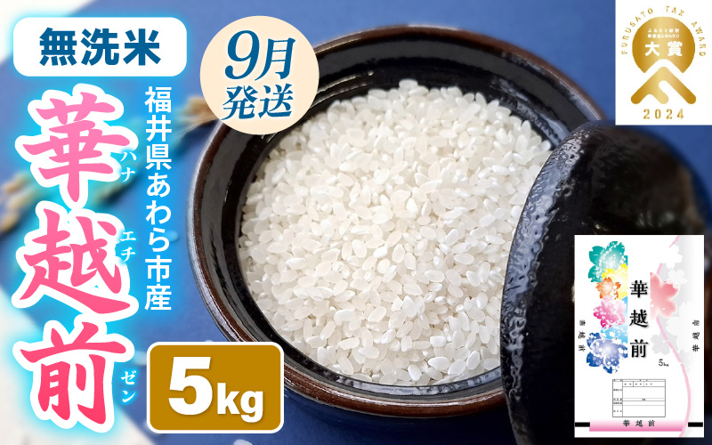 【先行予約】【令和8年産】 【9月上旬以降発送】華越前  無洗米 5kg / 米 5キロ ハナエチゼン はなえちぜん 北陸 福井県産 あわら市 ブランド米 白米 お米 コメ こめ kome ※2026年9月上旬以降順次発送 [aw056-a028_09]