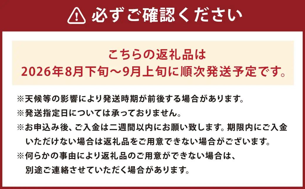 種あり巨峰 約2.5kg ぶどう 果物 くだもの フルーツ 長崎県産 【2026年8月下旬～9月上旬迄発送予定】