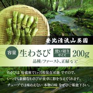 岩手県産 生わさび 使い切りサイズ 200g 【安比清流山葵園】 ／ 山葵 ワサビ わさび 薬味 国産 八幡平市産 産地直送 新鮮 調味料 刺身 蕎麦 和え物 漬け物 刻み おろし 辛味 お寿司 そば