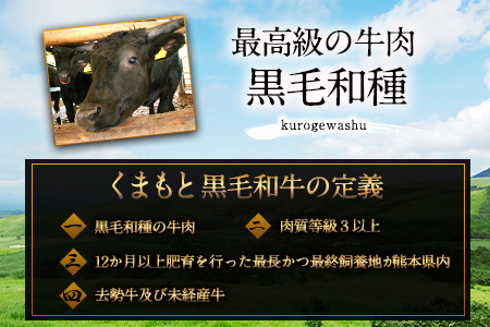 くまもと黒毛和牛 あしきた牛すきやき 熊本県産《60日以内に出荷予定(土日祝除く)》熊本県 葦北郡 津奈木町 あしきた農業協同組合 JAあしきた あしきた牛 和王 黒毛和牛 肉