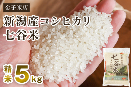 【令和7年産】老舗米穀店が厳選 新潟県加茂市産コシヒカリ「七谷米」精米5kg〈順次出荷〉 従来品種 金子米店