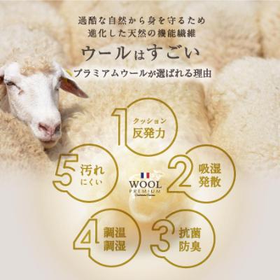 ふるさと納税 柳川市 羊毛混 布団セット シングルロング (ブラウン色) フランス産プレミアムウール使用 |  | 02