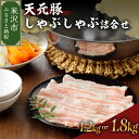 【ふるさと納税】天元豚 しゃぶしゃぶ ロース バラ 詰合せ 選べる 内容量 ( 各 600g 計 1.2kg / 各 900g 計 1.8kg )豚肉 豚 豚バラ 豚しゃぶ ブランド豚 小分け 食べ比べ セット 低カロリー 高たんぱく おかず 便利 冷凍 お取り寄せ 送料無料 東北 山形県 米沢市