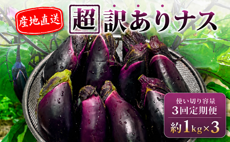 【先行受付】 【3回定期便】 安田町産 「超」 訳あり ナス なす なすび 1kg  新鮮 野菜 茄子 産地直送 季節限定 夏野菜 ふるさと納税茄子  ふるさと納税なすお漬物 漬物 味噌汁 みそ汁 マ