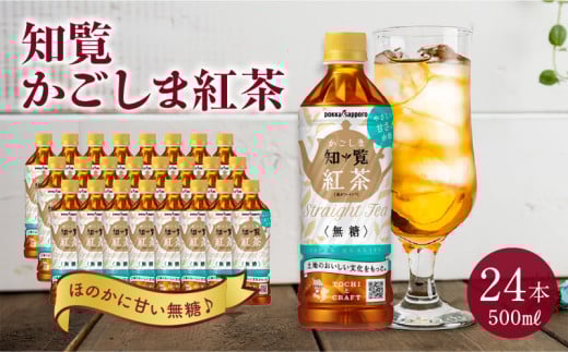 知覧かごしま紅茶 ペットボトル24本【1186006】