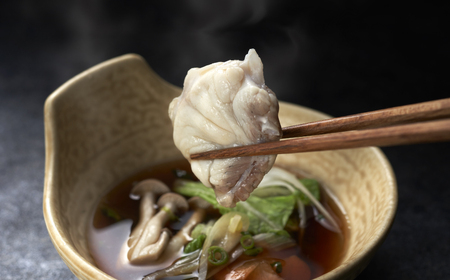 ふぐ 天然 まふぐ 刺身 ちり 鍋 セット 3～4人前 冷凍【極み！黄金 ふぐ出汁 スープ 】ふぐちり IF005