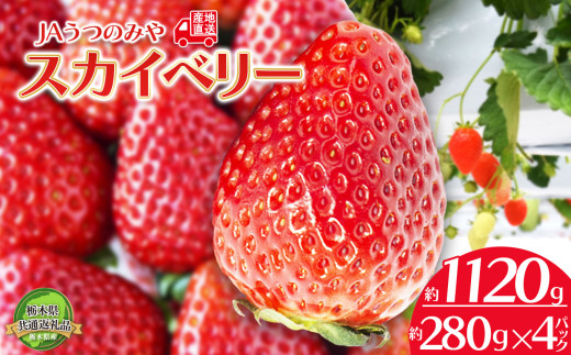 【先行予約】苺 栃木県共通返礼品 JAうつのみや直送！ スカイベリー 280g×4パック | 2026年1月～発送 いちご 甘い 美味しい 果物 フルーツ デザート 栃木県 下野市 送料無料