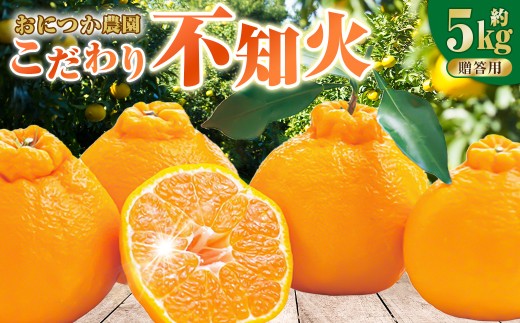 熊本産 おにつか農園 こだわり 不知火 贈答用 約5kg デコポン【2026年3月下旬中順次発送開始予定】