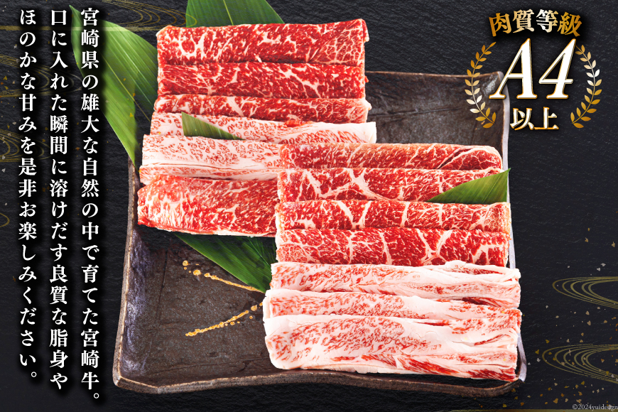 宮崎牛 もも バラ すき焼き 300g×2 計600g [日本ハムマーケティング 宮崎県 美郷町 31bd0017] 冷凍 送料無料 国産 黒毛和牛 A5 A4等級 ブランド 牛 肉 霜降り 肉巻き 